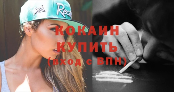 дмт Пестово