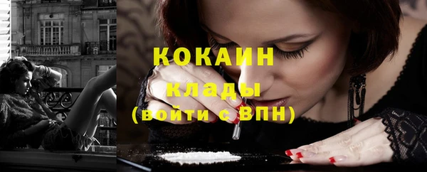 дмт Пестово