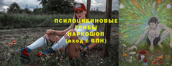 дмт Пестово