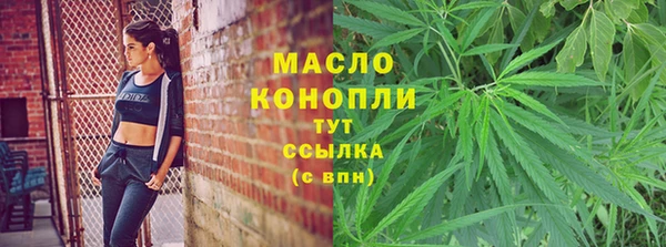 дмт Пестово