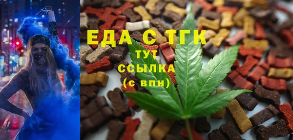 дмт Пестово