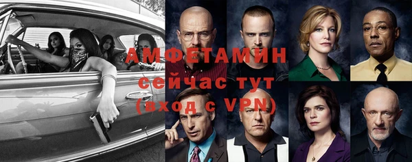 дмт Пестово
