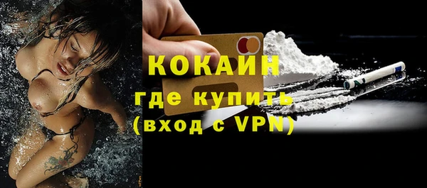 дмт Пестово