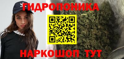 spice Дубна