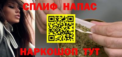 spice Дубна