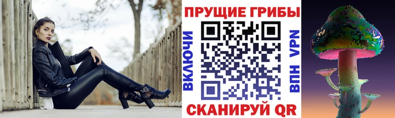 Галлюциногенные грибы Magic Shrooms  где купить наркотик  Североморск 