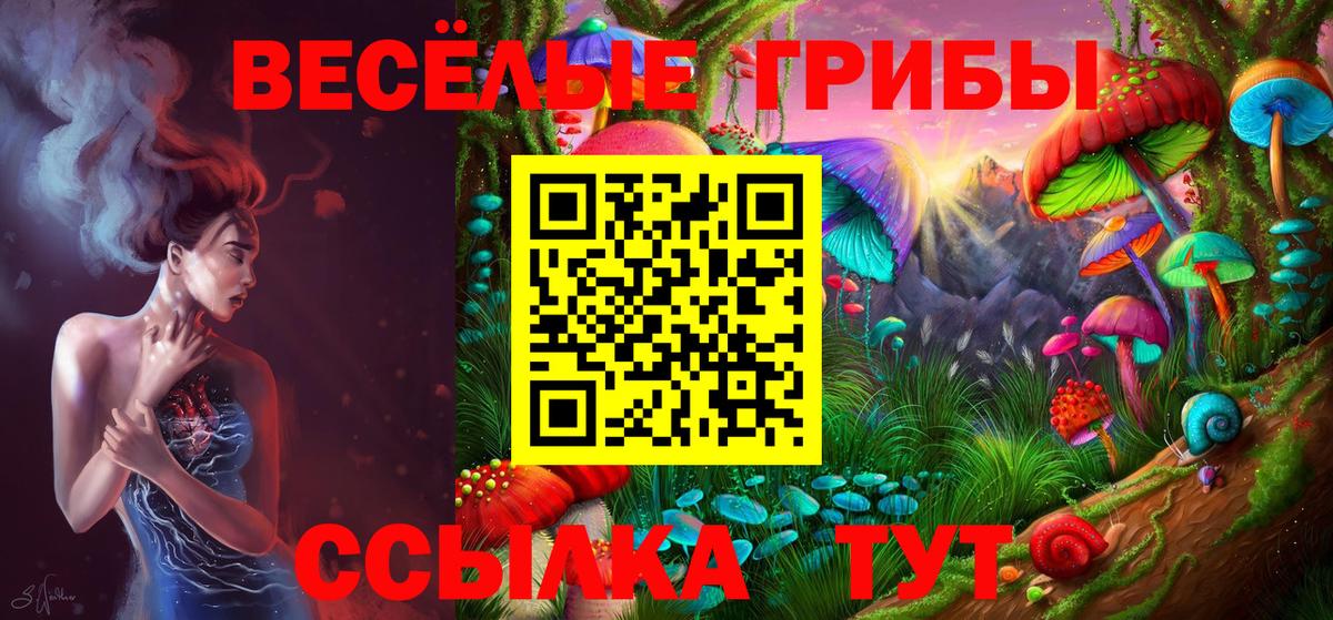 дарнет шоп  Вход с VPN  Североморск  Псилоцибиновые грибы мицелий 