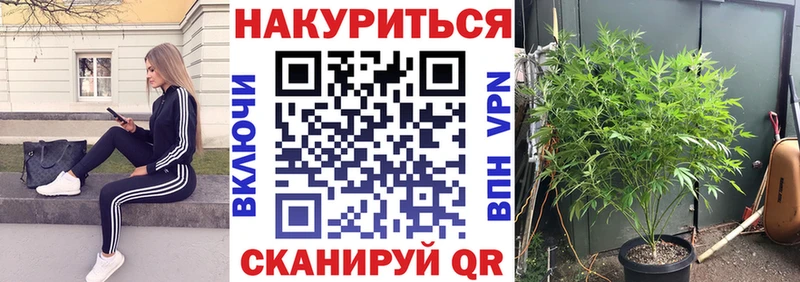 Каннабис план  Североморск 